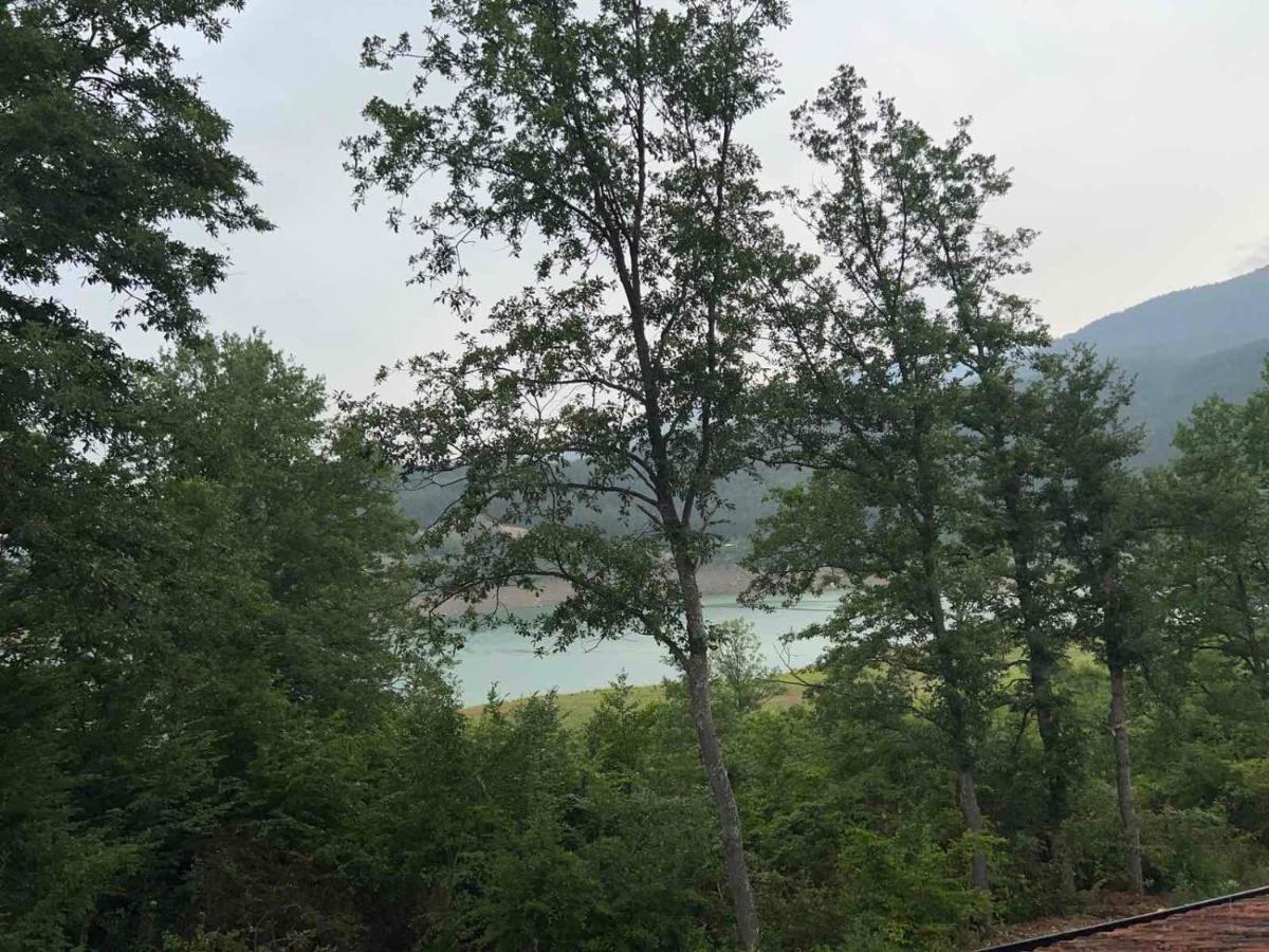 Zavojsko Jezero - Jezero