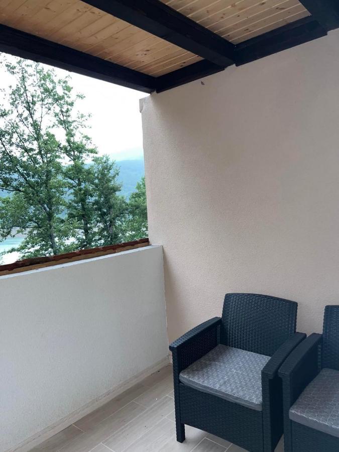 Apartment Zavojsko Jezero - Jezero Pirot